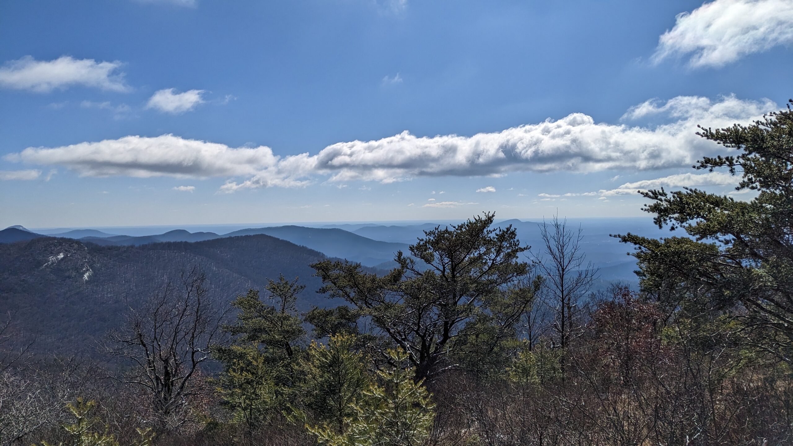 Georgia Appalachian Trail