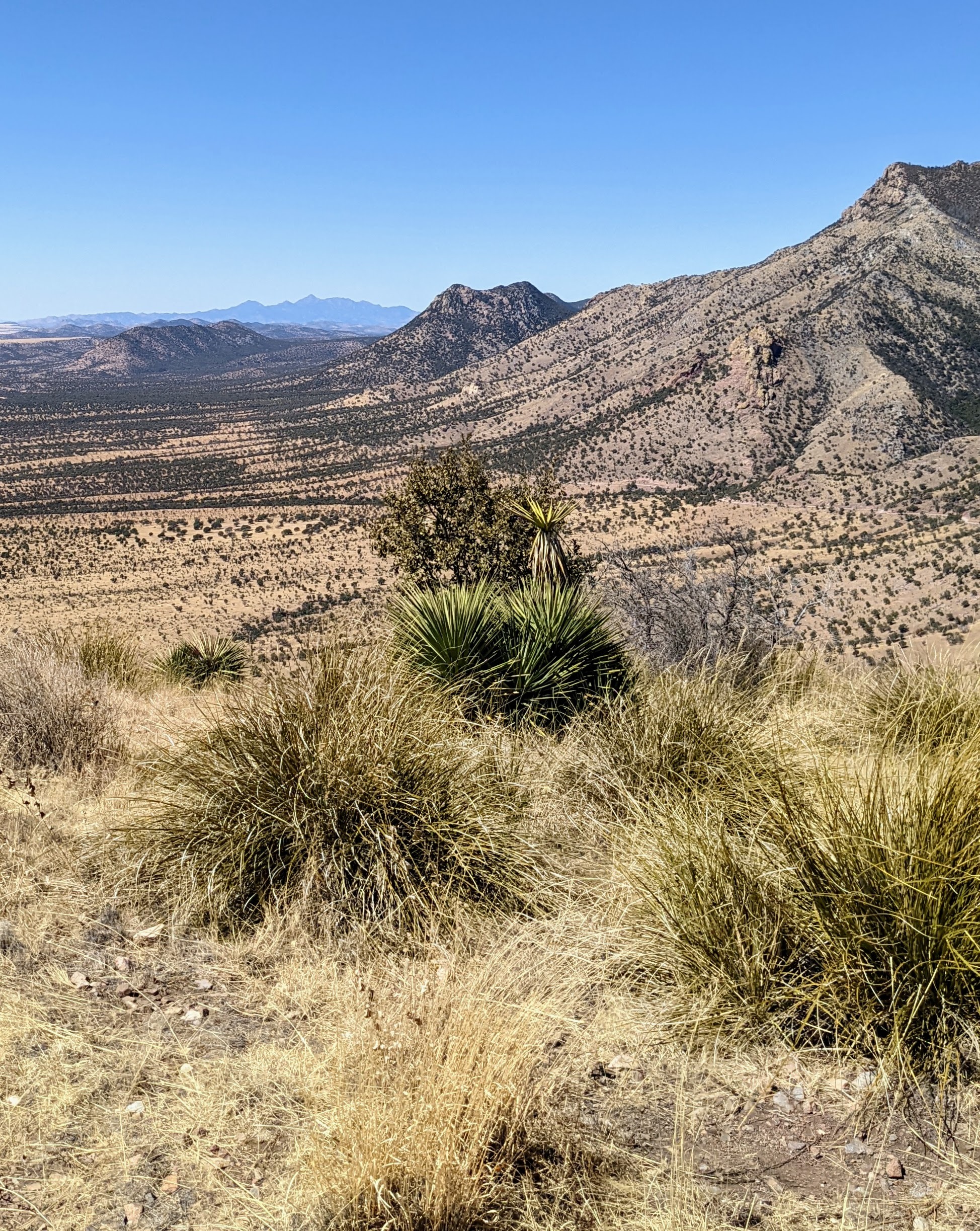 Coronado National Memorial