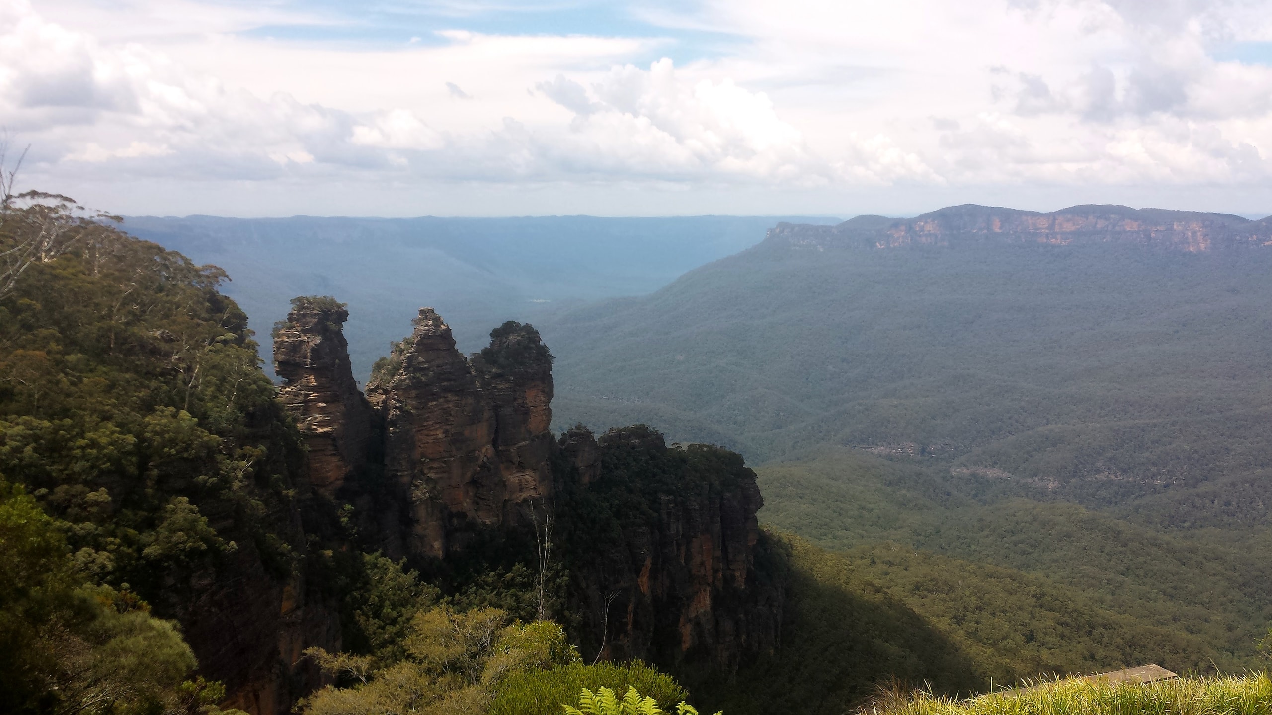 NEWSOUTHWALES1