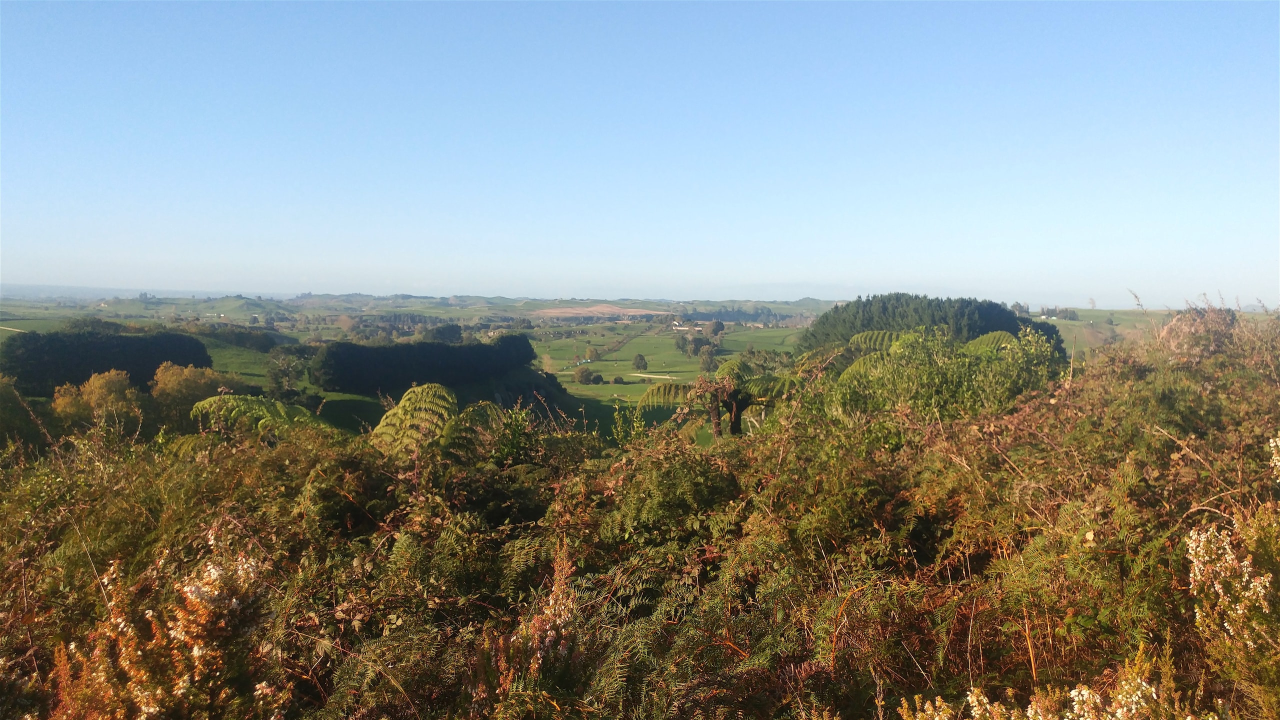 NEWZEALAND1